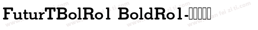 FuturTBolRo1 BoldRo1字体转换